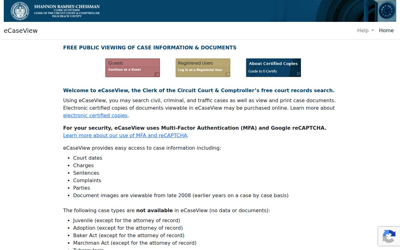 Palm Beach County Clerk eCaseView court record search